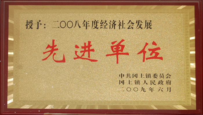 2008年度(dù)經濟社(shè)會發展(zhǎn)先進單(dan)位